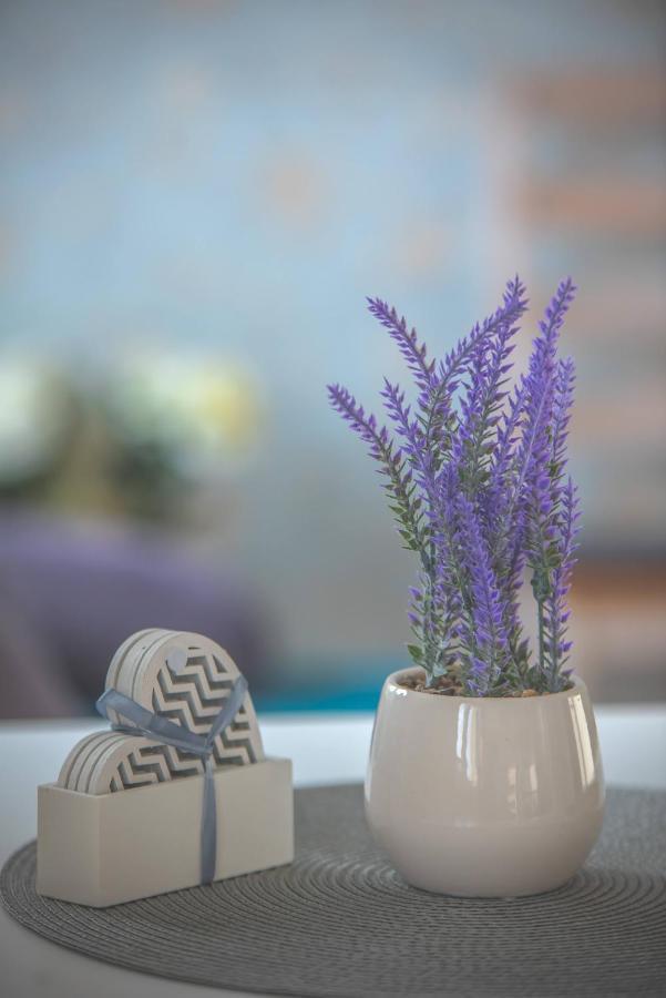 Roosi Apartment 합살루 외부 사진